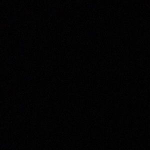 Meet your Posher, Perla